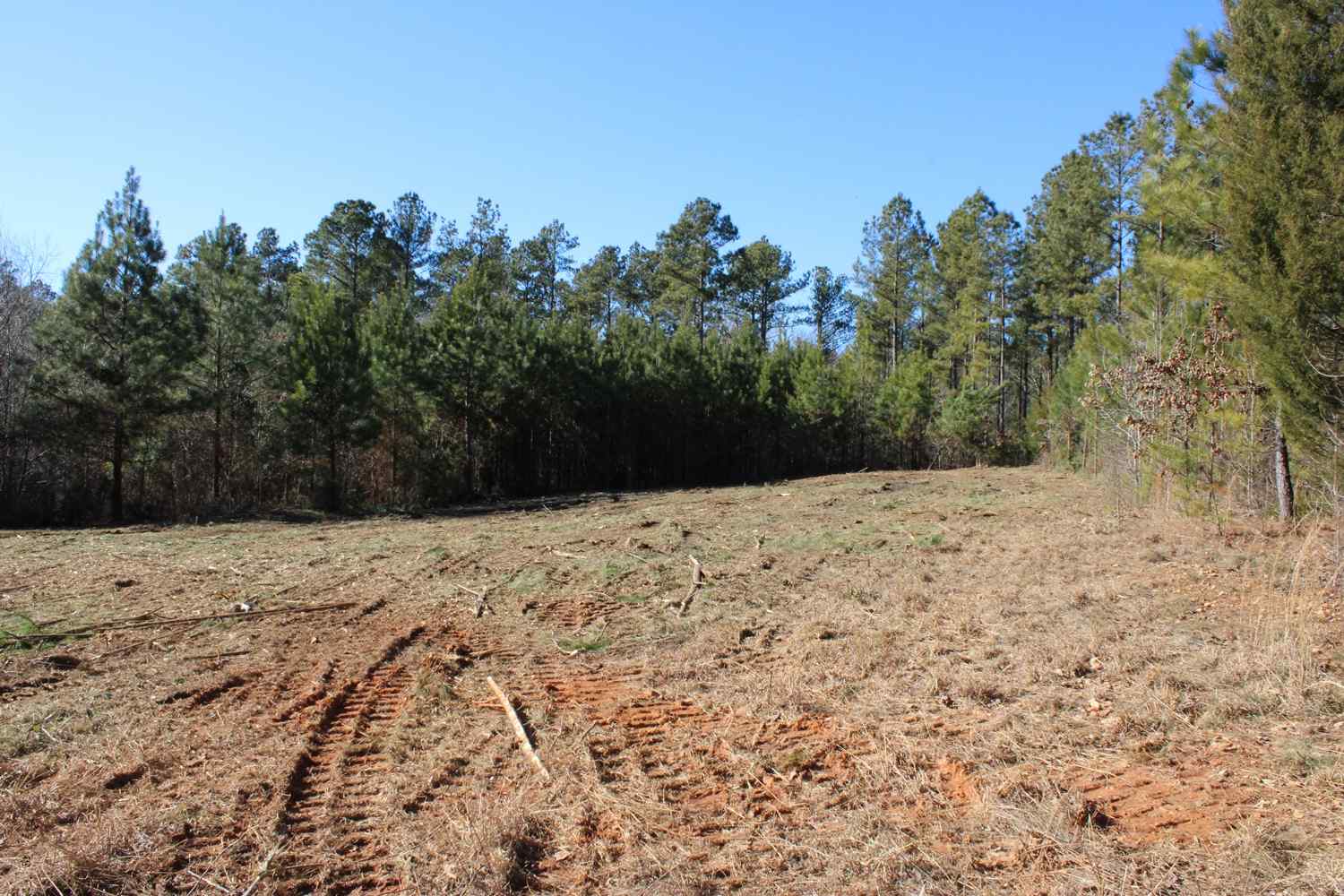 Advance Land and Timber Land for sale property_imgs/b129c-65acres6.jpg