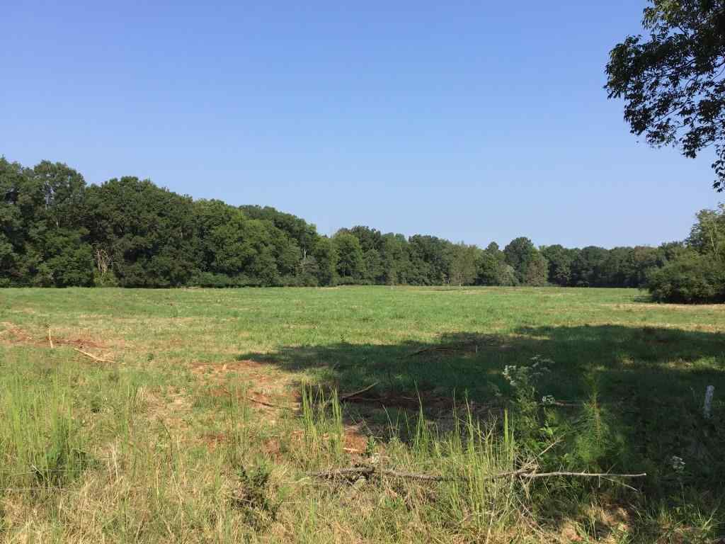 Advance Land and Timber Land for sale property_imgs/b2-13.jpg
