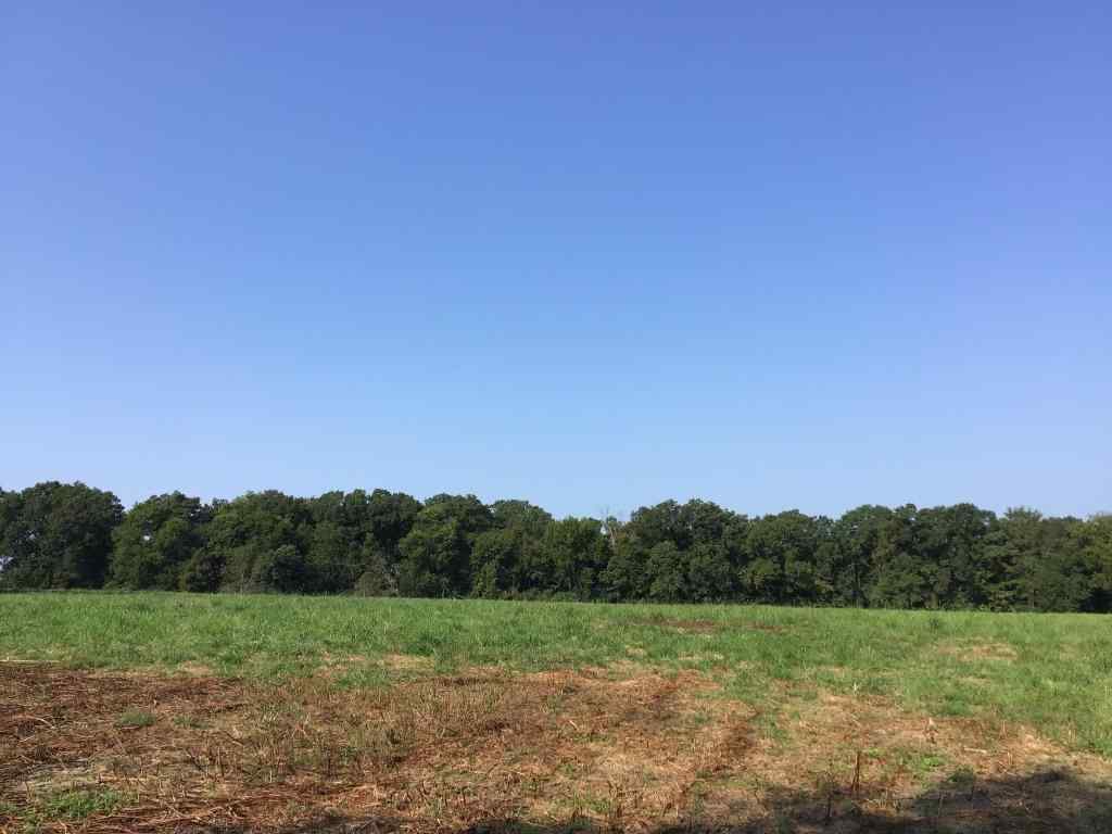 Advance Land and Timber Land for sale property_imgs/b2-14.jpg