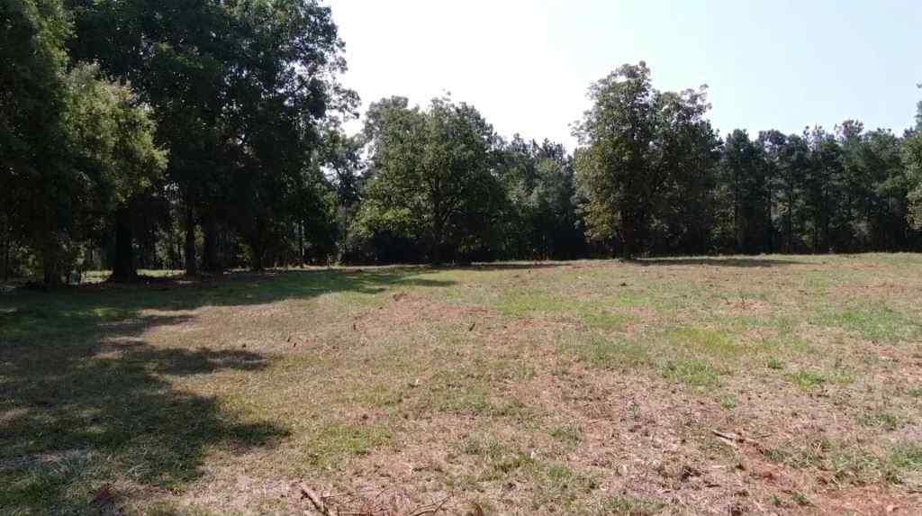 Advance Land and Timber Land for sale property_imgs/b2-16.jpg
