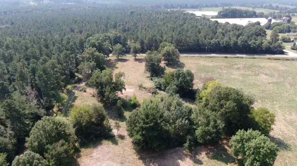 Advance Land and Timber Land for sale property_imgs/b2-17.jpg