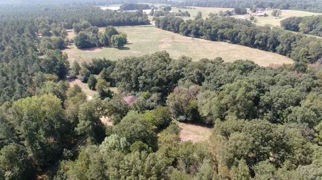 Advance Land and Timber Land for sale property_imgs/b2-18.jpg