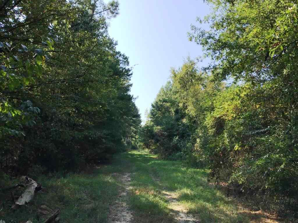 Advance Land and Timber Land for sale property_imgs/b2-5.jpg