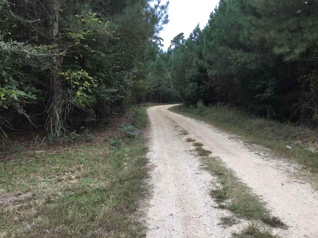 Advance Land and Timber Land for sale property_imgs/b2495.jpg