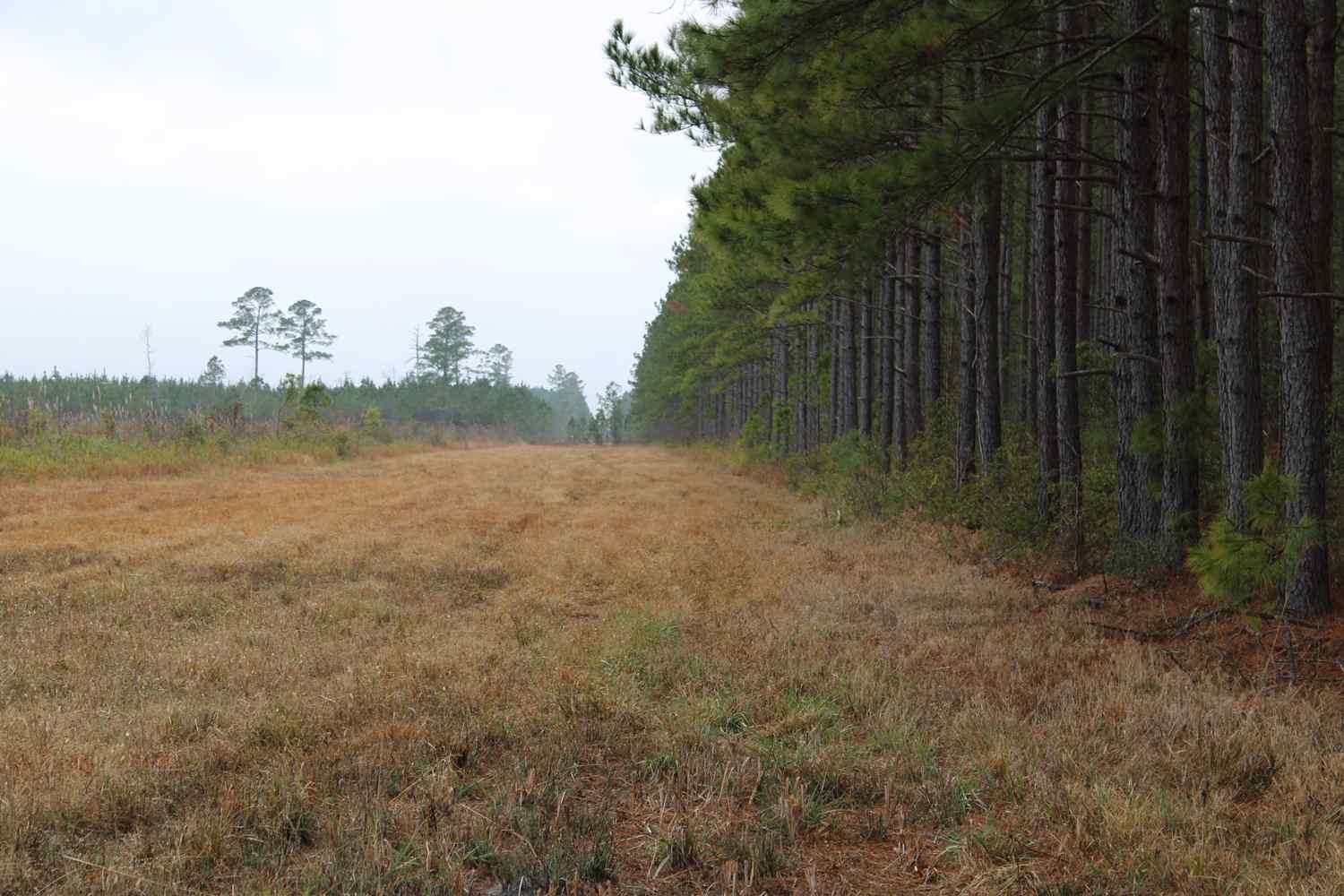 Craven County North Carolina Land for Sale