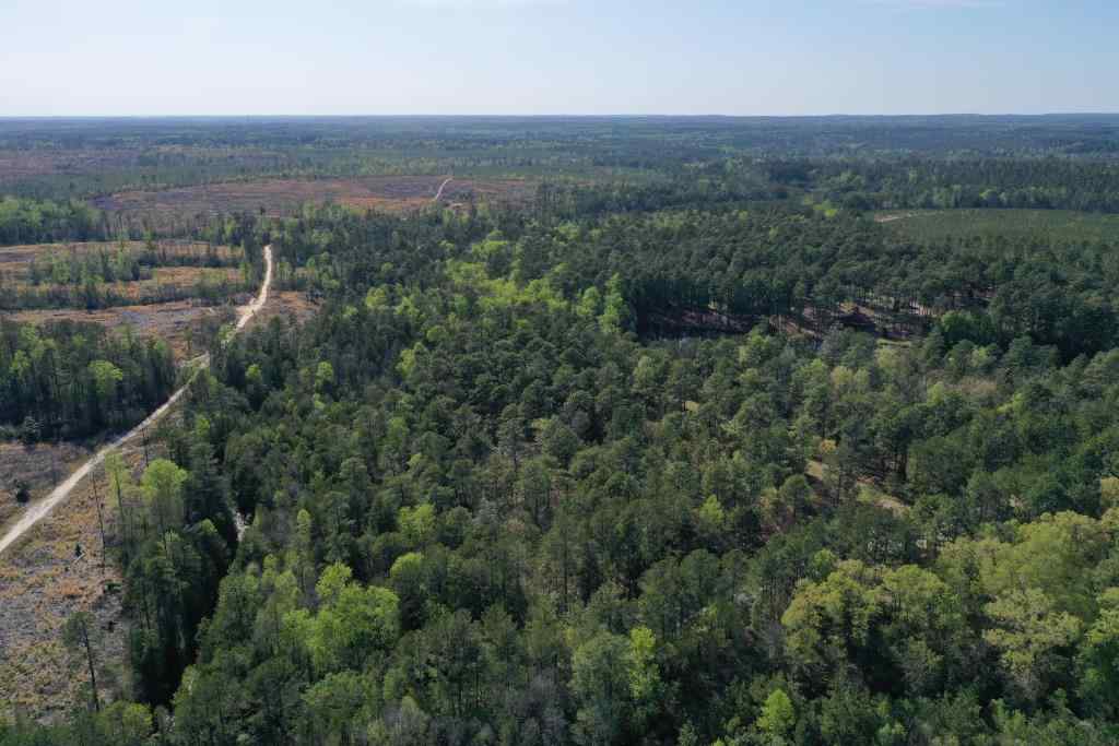 Richmond County North Carolina Land for Sale