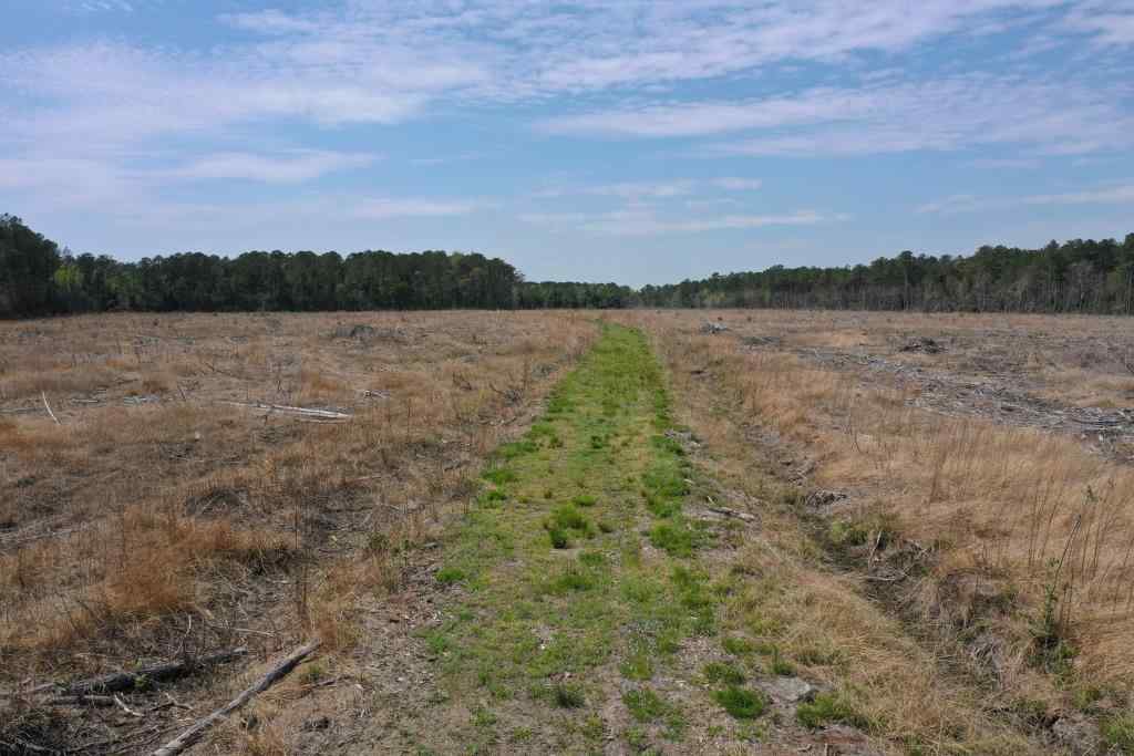 Advance Land and Timber Land for sale property_imgs/b299-cn-8491.jpg