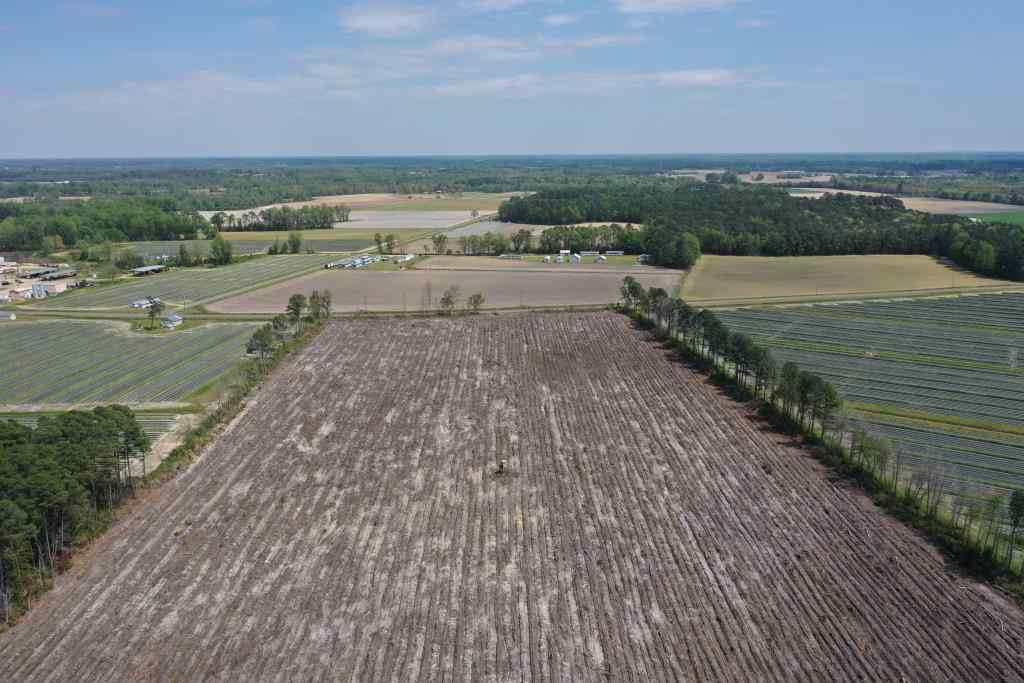 Advance Land and Timber Land for sale property_imgs/b299-cn-8493.jpg