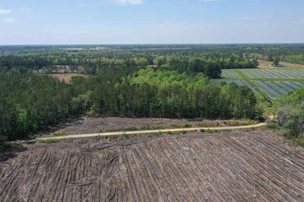 Advance Land and Timber Land for sale property_imgs/b299-cn-8494.jpg