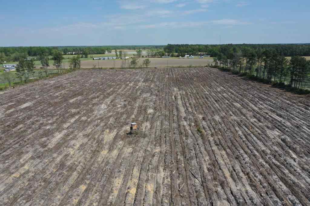 Advance Land and Timber Land for sale property_imgs/b299-cn-8495.jpg