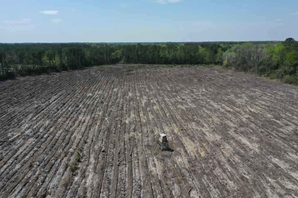 Advance Land and Timber Land for sale property_imgs/b299-cn-8496.jpg