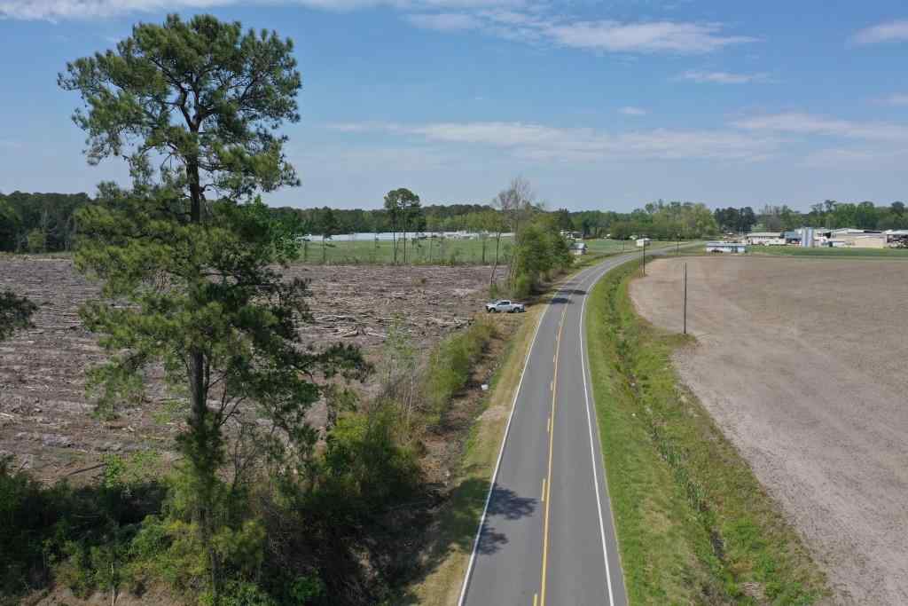 Advance Land and Timber Land for sale property_imgs/b299-cn-8497.jpg