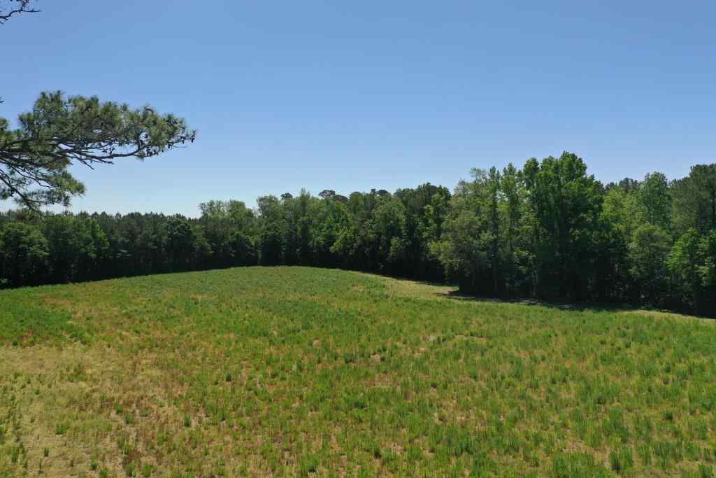 Advance Land and Timber Land for sale property_imgs/b339-ramseyfordrd11.jpg