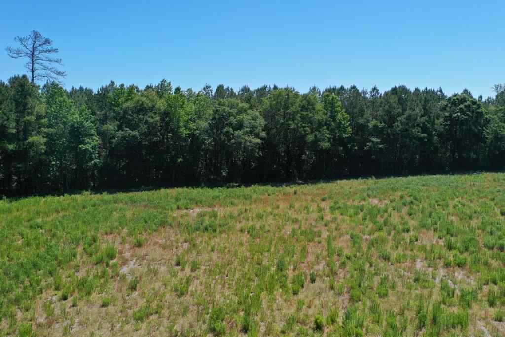 Advance Land and Timber Land for sale property_imgs/b339-ramseyfordrd12.jpg