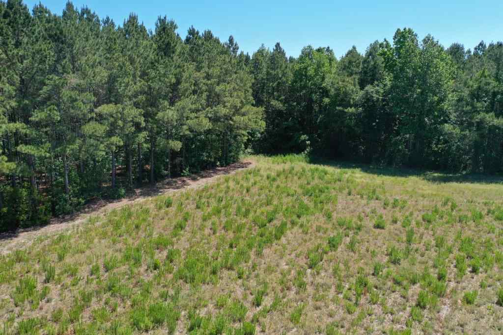 Advance Land and Timber Land for sale property_imgs/b339-ramseyfordrd13.jpg