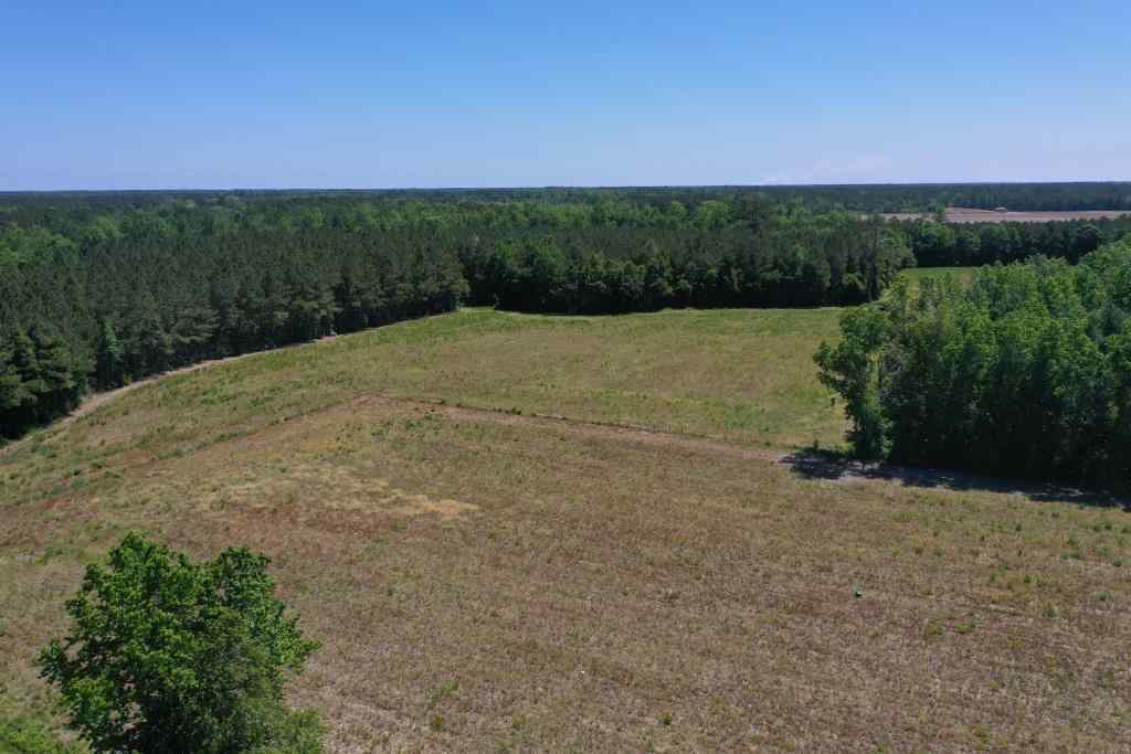 Advance Land and Timber Land for sale property_imgs/b339-ramseyfordrd1~0.jpg