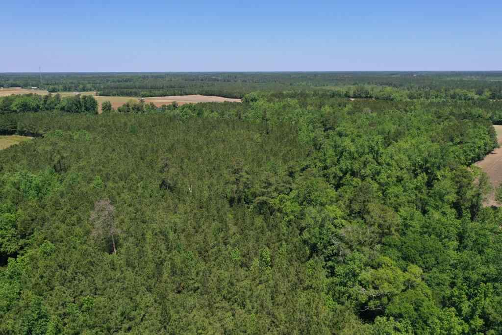 Advance Land and Timber Land for sale property_imgs/b339-ramseyfordrd3.jpg