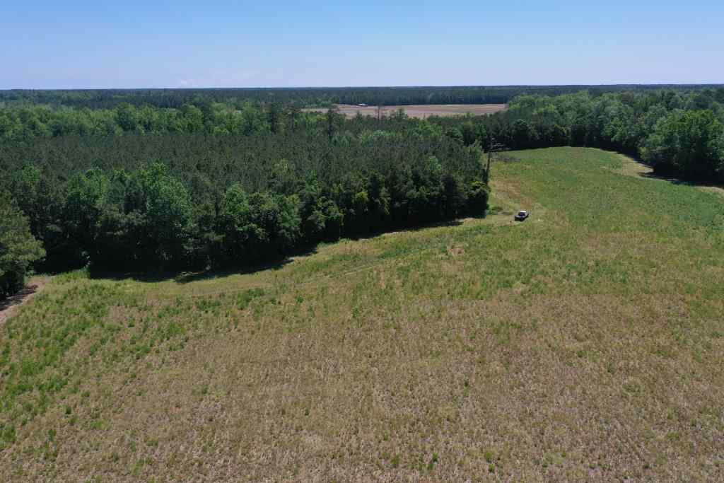 Advance Land and Timber Land for sale property_imgs/b339-ramseyfordrd6.jpg