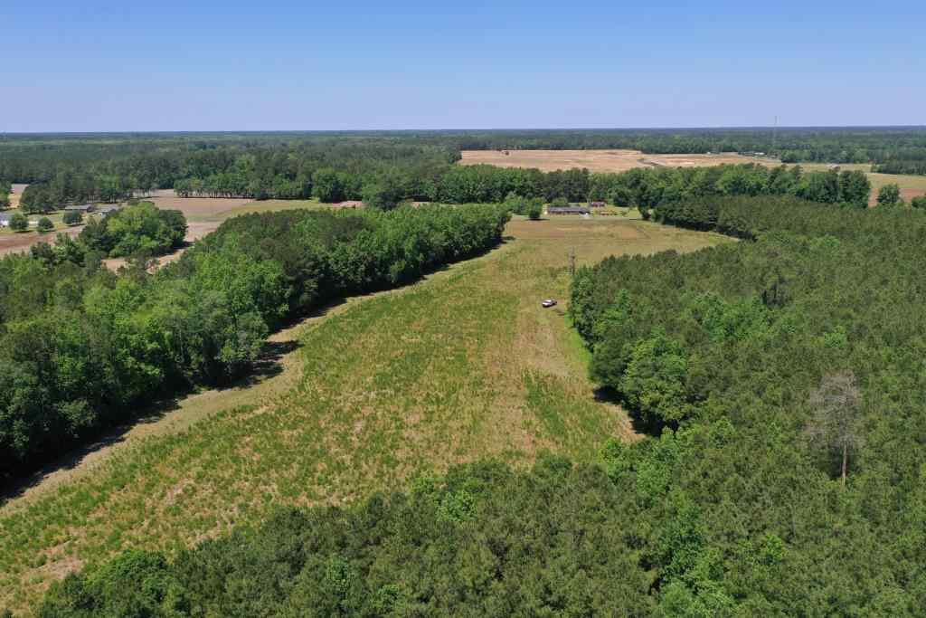 Advance Land and Timber Land for sale property_imgs/b339-ramseyfordrd9.jpg