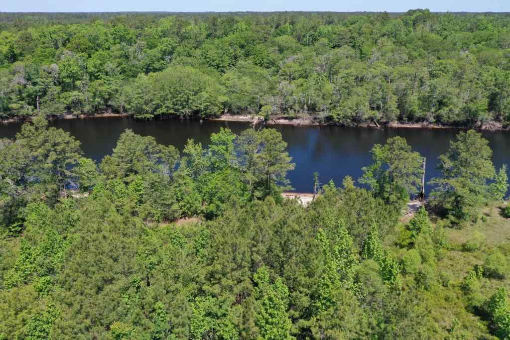 Advance Land and Timber Land for sale property_imgs/b34-lot27-3.jpg