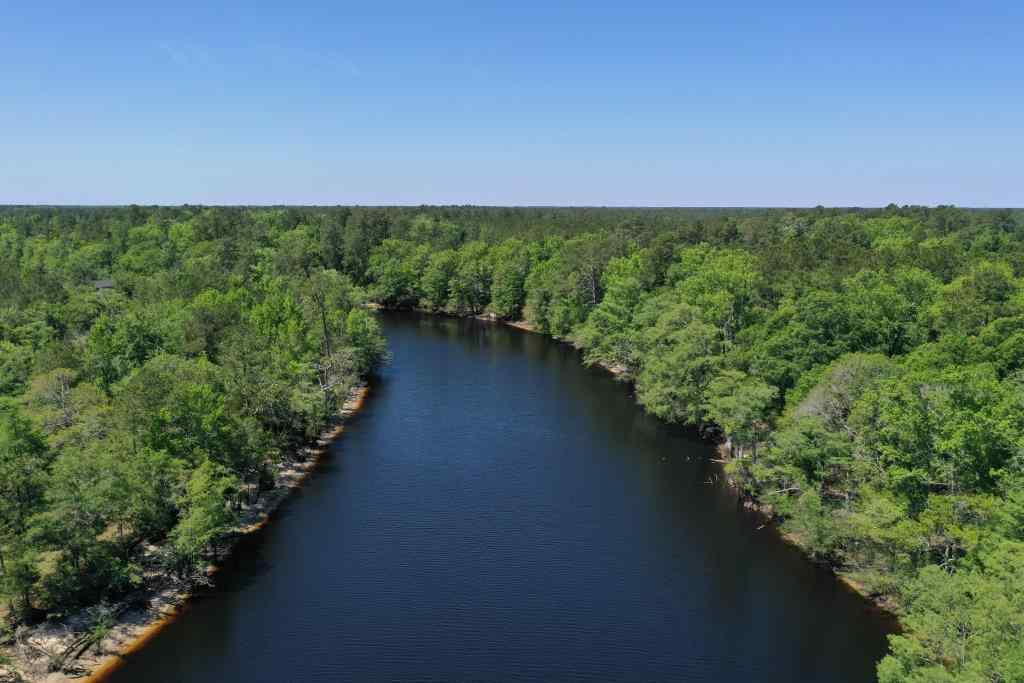 Advance Land and Timber Land for sale property_imgs/b34-lot27-4.jpg