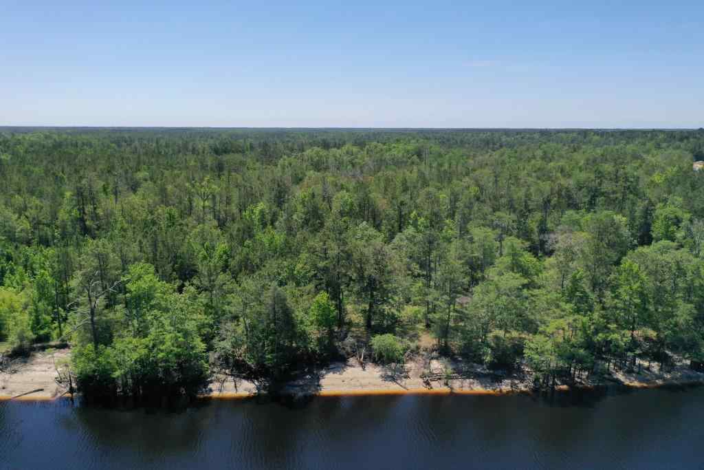 Advance Land and Timber Land for sale property_imgs/b34-lot27-5.jpg