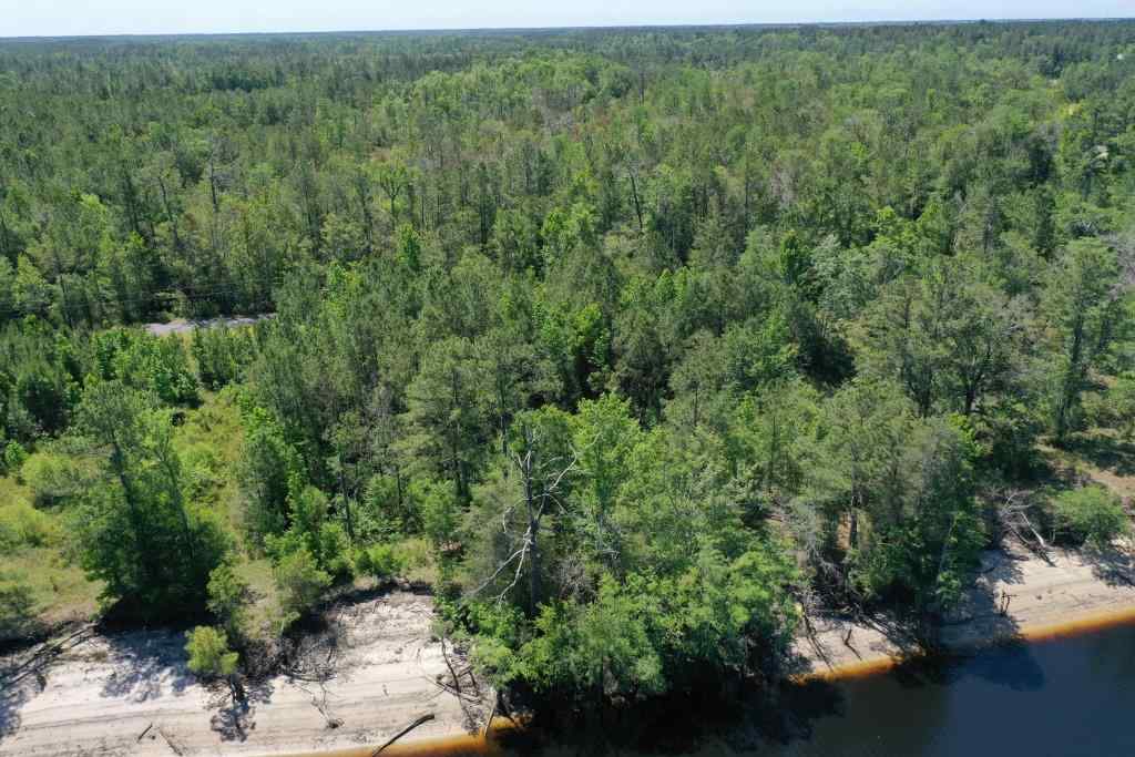 Advance Land and Timber Land for sale property_imgs/b34-lot27-6.jpg