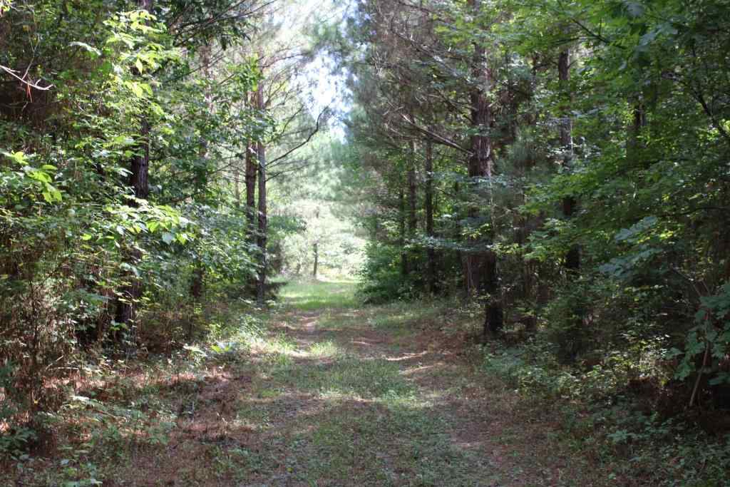Advance Land and Timber Land for sale property_imgs/b38412.jpg