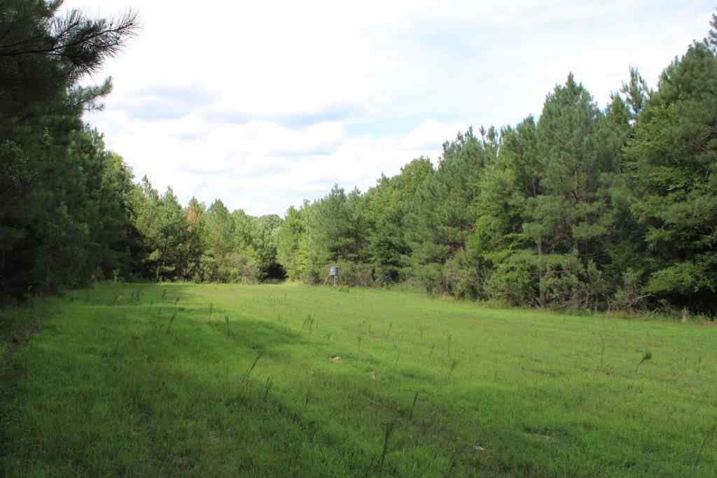 Advance Land and Timber Land for sale property_imgs/b3842.jpg