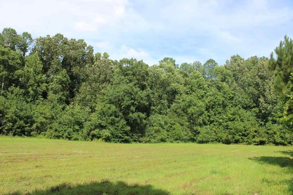 Advance Land and Timber Land for sale property_imgs/b3844.jpg