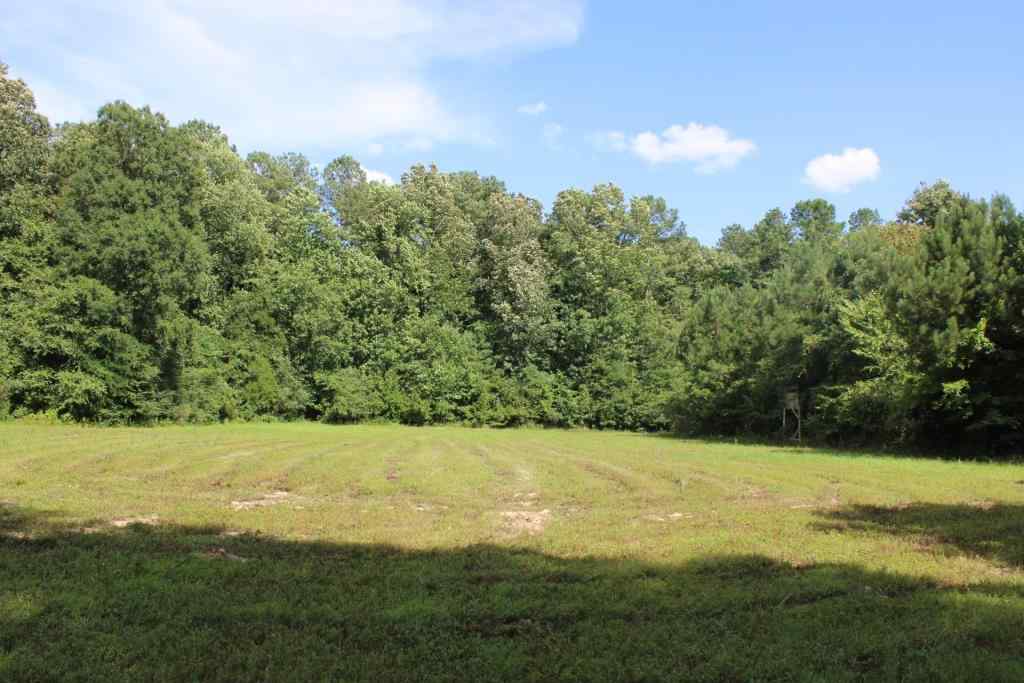 Advance Land and Timber Land for sale property_imgs/b3845.jpg