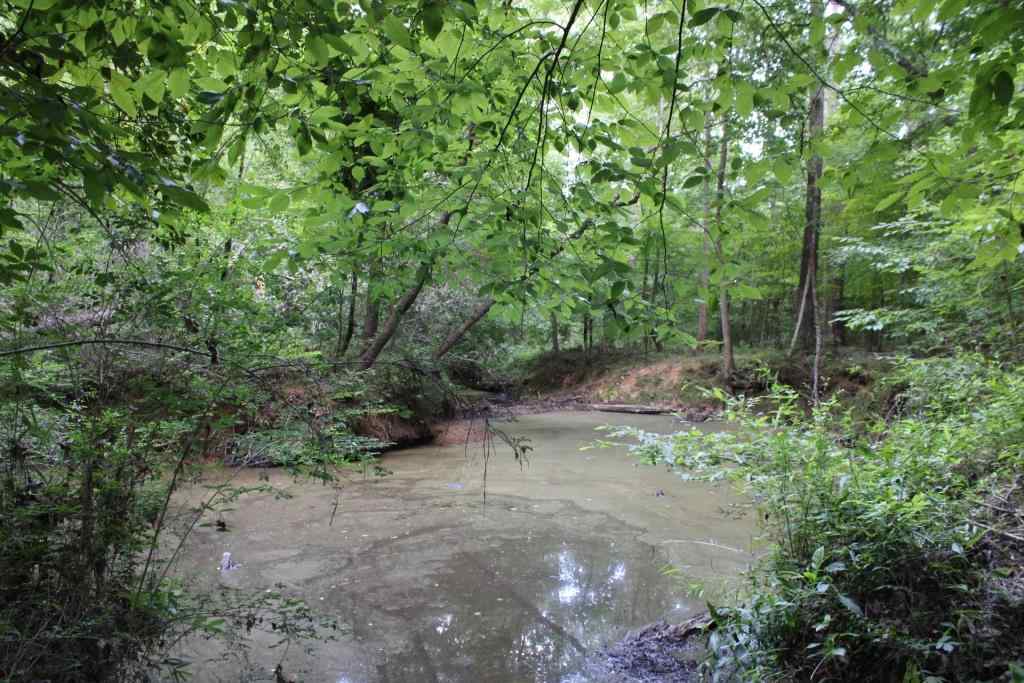 Advance Land and Timber Land for sale property_imgs/b3846.jpg