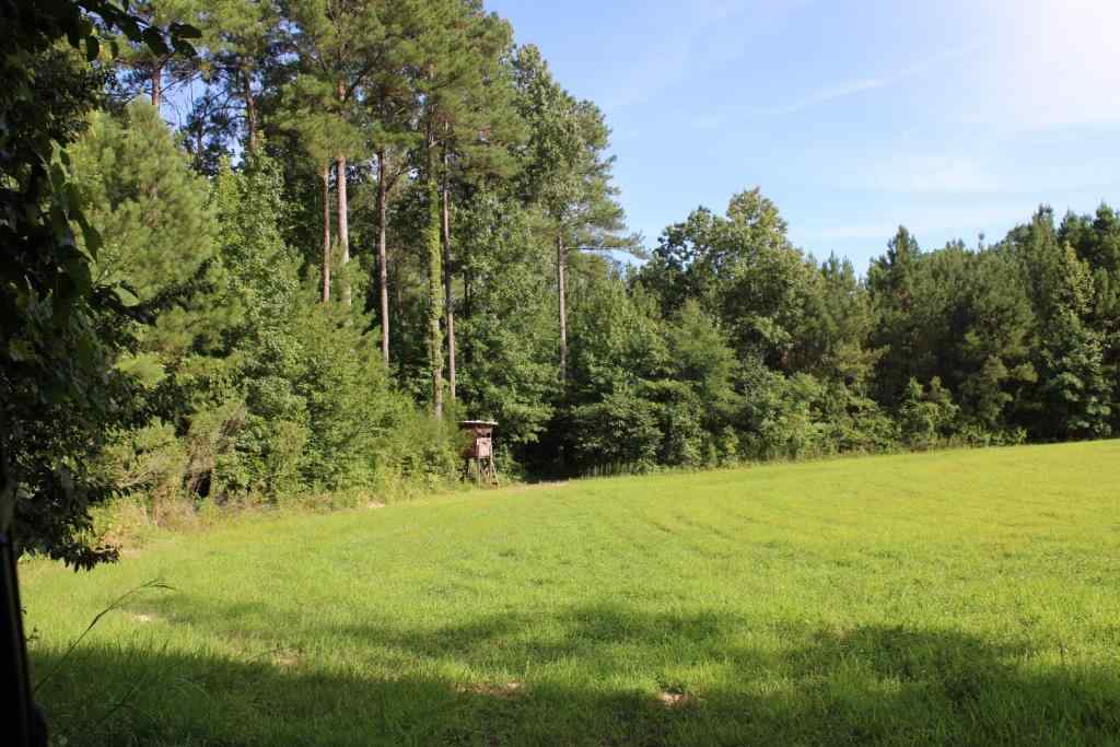 Advance Land and Timber Land for sale property_imgs/b38613.jpg