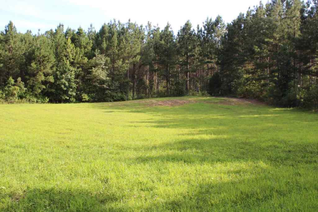 Advance Land and Timber Land for sale property_imgs/b38614.jpg