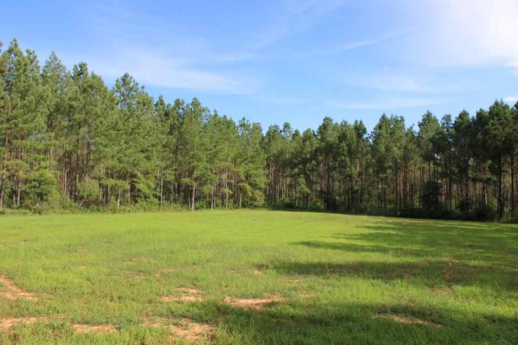 Advance Land and Timber Land for sale property_imgs/b3861~0.jpg