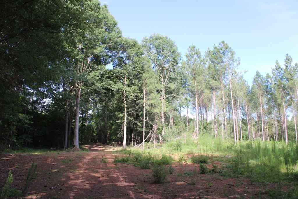 Advance Land and Timber Land for sale property_imgs/b3864.jpg