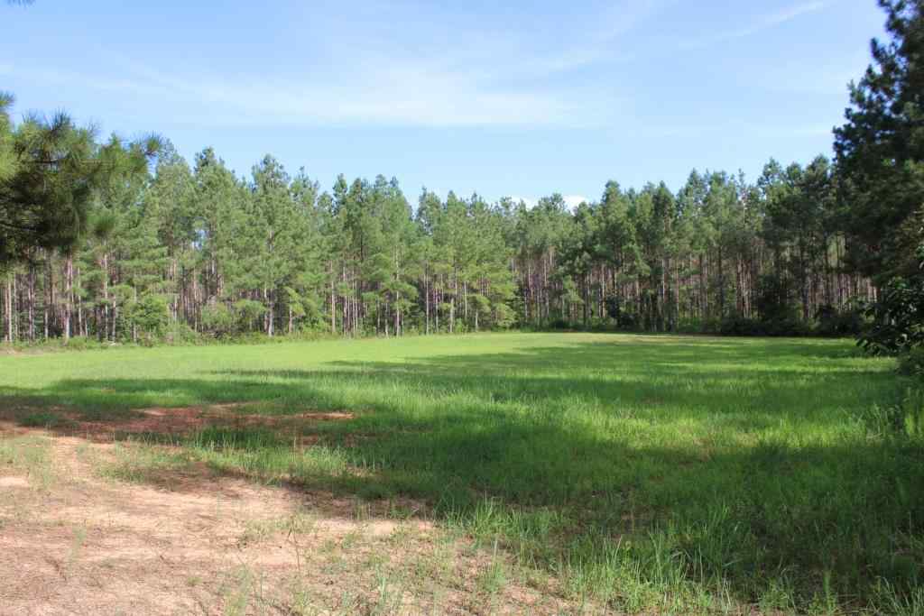 Advance Land and Timber Land for sale property_imgs/b3868.jpg