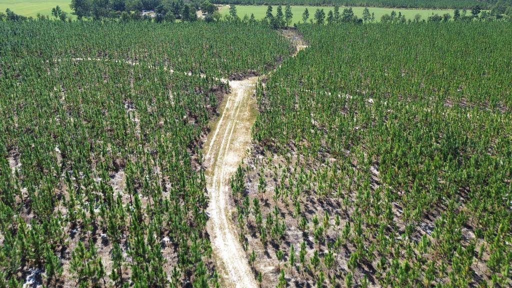 Advance Land and Timber Land for sale property_imgs/b55c86af1c55672a8792354910cd548d_2332.jpg