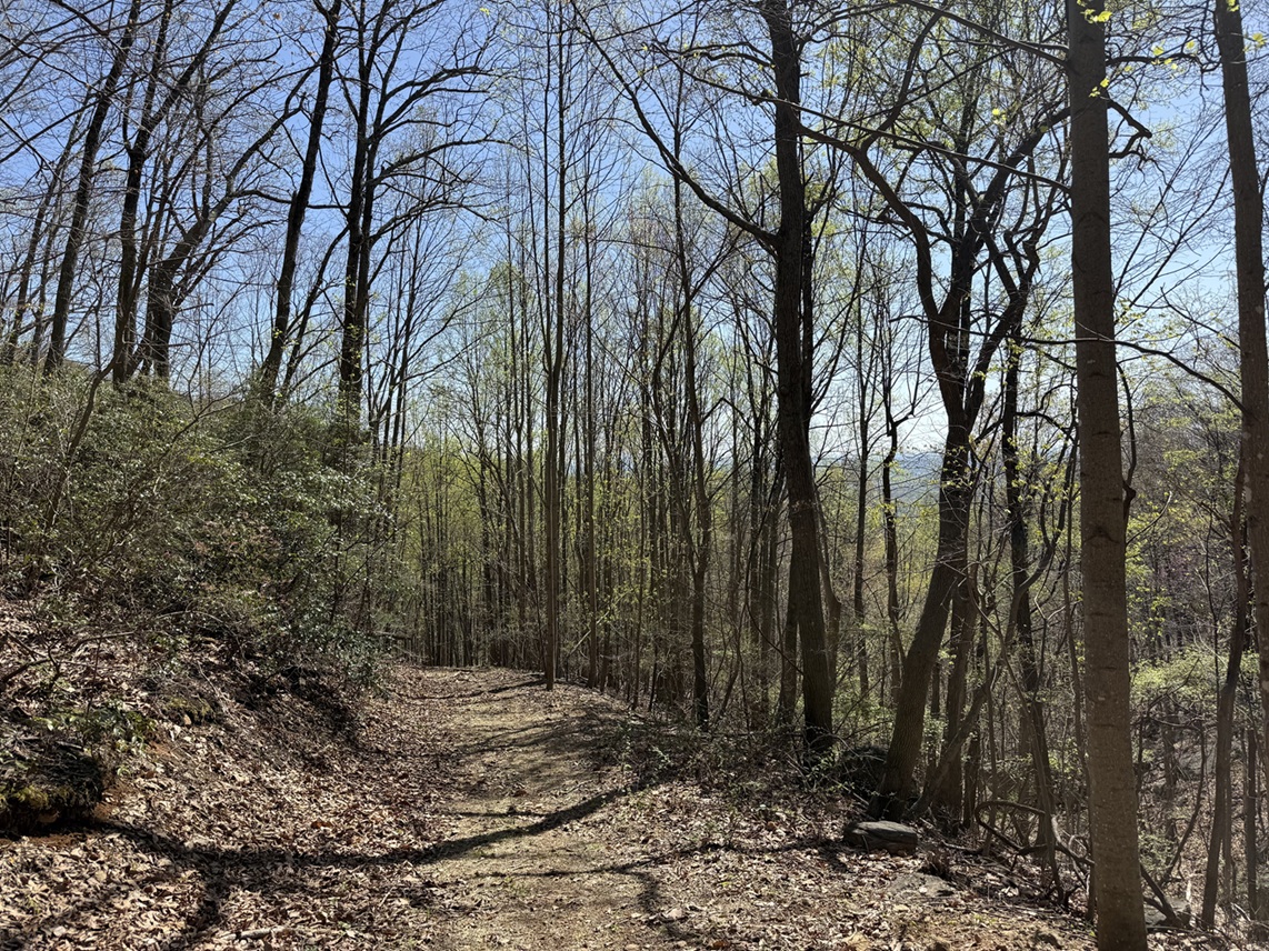 Advance Land and Timber Land for sale property_imgs/b56ea7b6aa77f6f9008bc9362fab3597_2251.jpeg