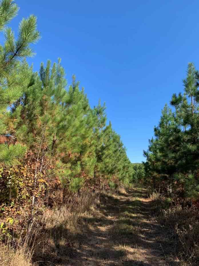 Buckingham County Virginia Land for Sale