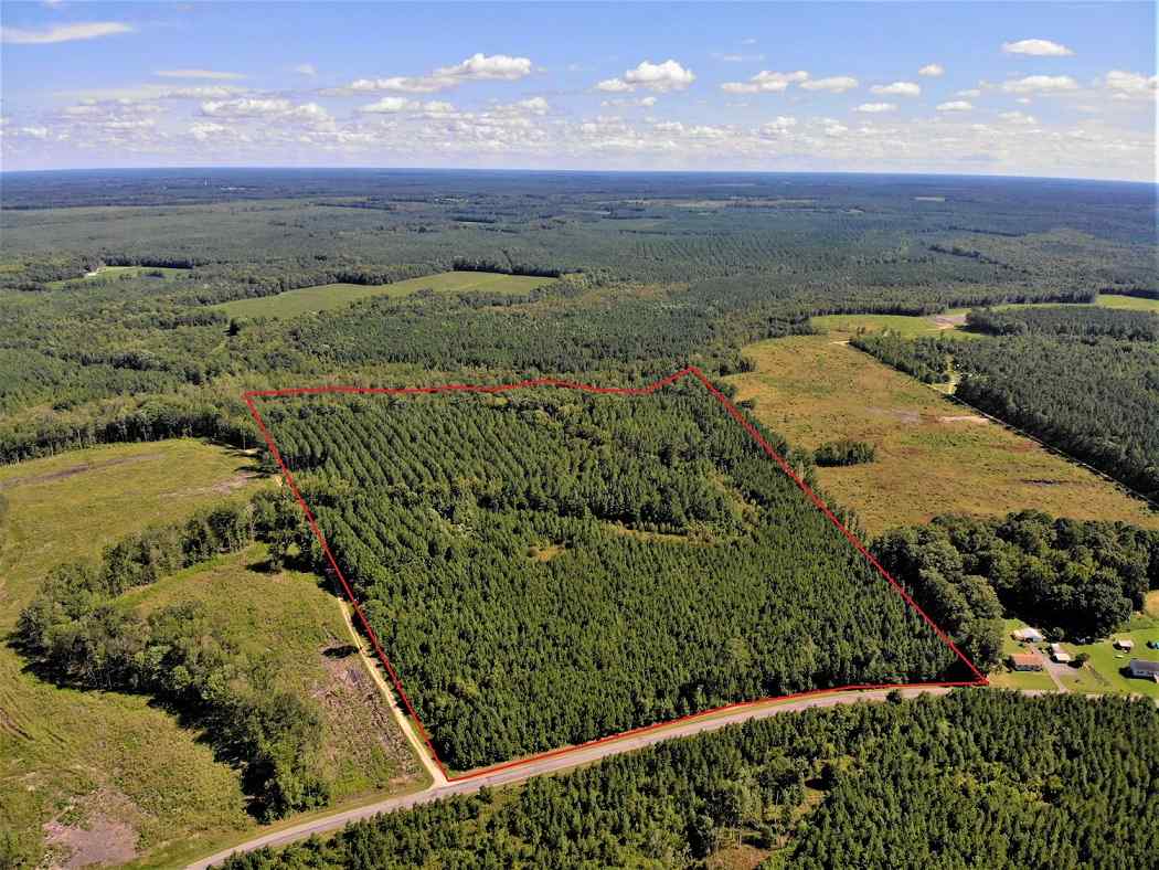 Advance Land and Timber Land for sale property_imgs/b8af7d0fbf094517781e0382102d7b27_1853.jpg