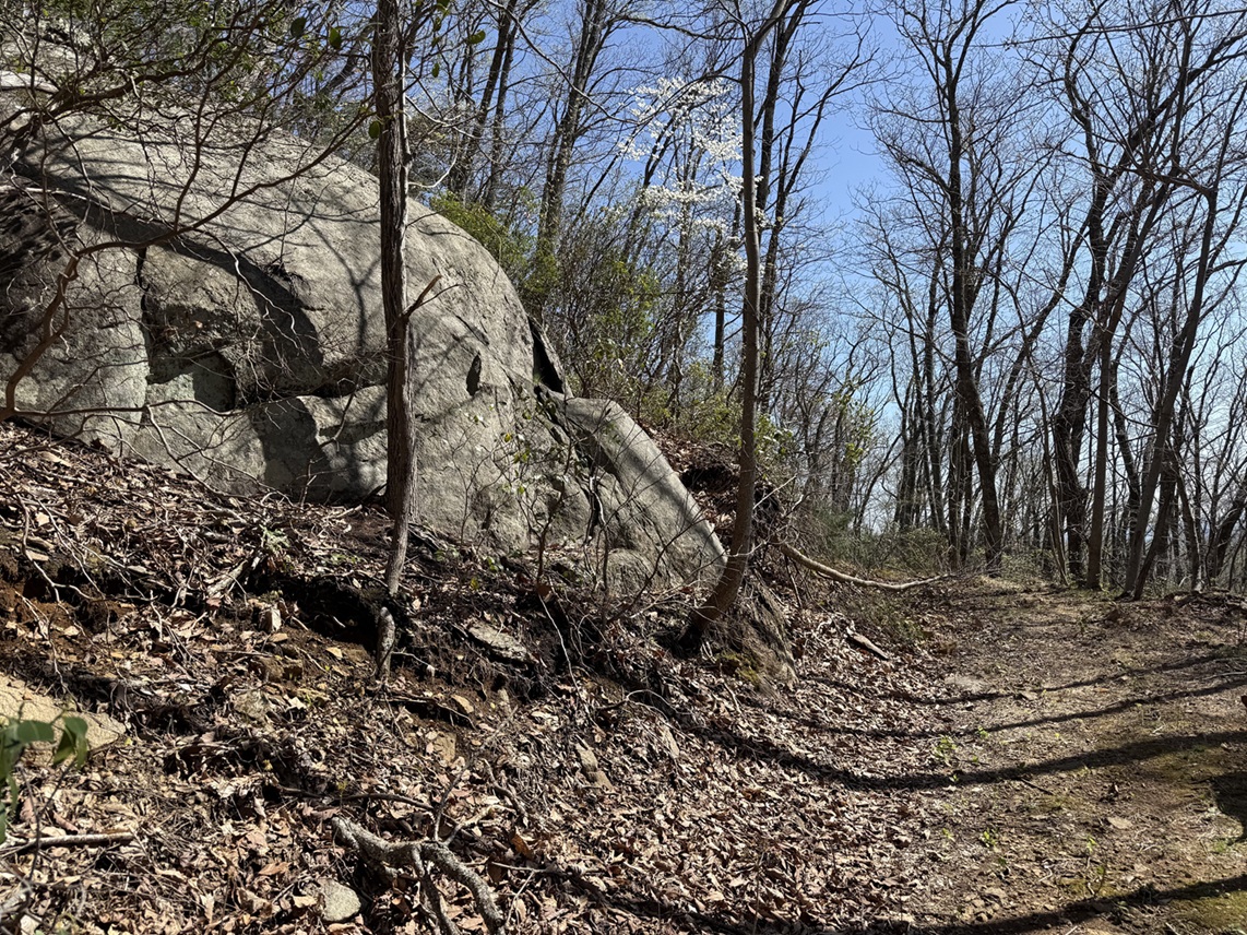 Advance Land and Timber Land for sale property_imgs/ba347fcc9a79fb74e95670b24848164f_2251.jpeg