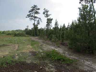 Horry County South Carolina Land for Sale