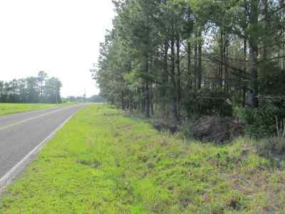 Horry County South Carolina Land for Sale