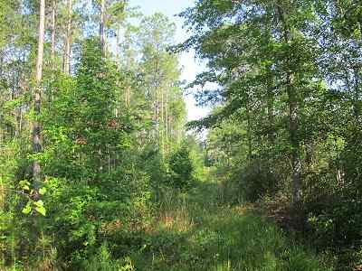 Horry County South Carolina Land for Sale