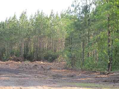 Horry County South Carolina Land for Sale