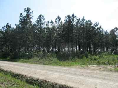 Advance Land and Timber Land for sale property_imgs/bc45_15.jpg