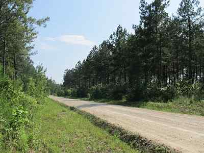 Advance Land and Timber Land for sale property_imgs/bc45_16.jpg