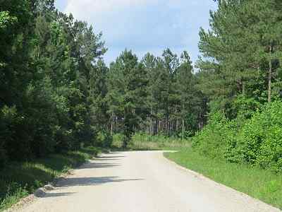 Advance Land and Timber Land for sale property_imgs/bc45_2~0.jpg