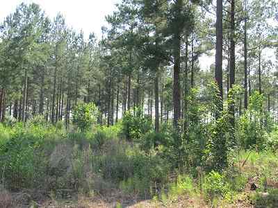 Advance Land and Timber Land for sale property_imgs/bc45_9.jpg